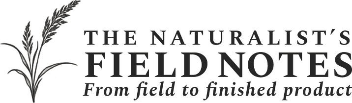 The Naturalist’s Field Notes — From field to finished product